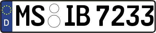 MS-IB7233