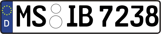 MS-IB7238