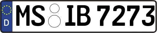 MS-IB7273