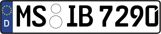 MS-IB7290