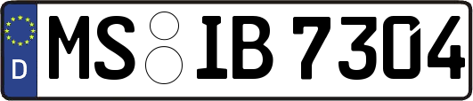 MS-IB7304