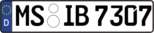 MS-IB7307
