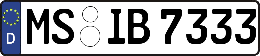 MS-IB7333