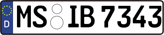 MS-IB7343