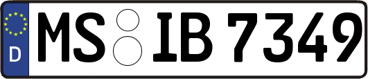 MS-IB7349
