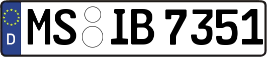 MS-IB7351