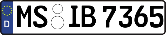 MS-IB7365