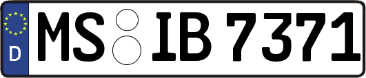 MS-IB7371