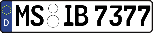 MS-IB7377