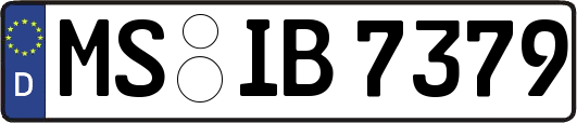 MS-IB7379