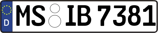 MS-IB7381