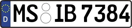 MS-IB7384