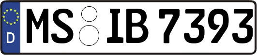 MS-IB7393