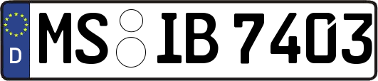 MS-IB7403