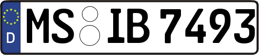 MS-IB7493