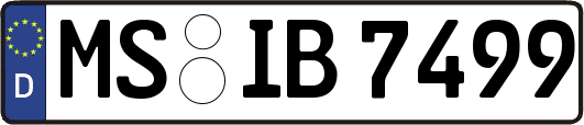 MS-IB7499