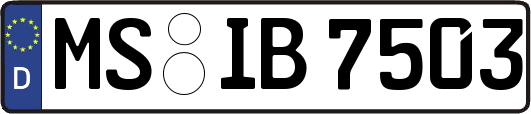 MS-IB7503