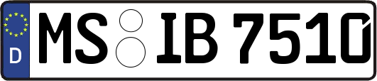 MS-IB7510