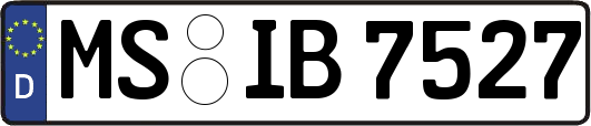 MS-IB7527