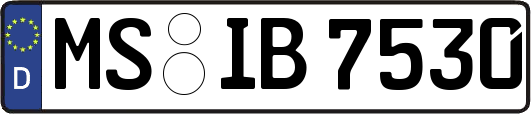 MS-IB7530