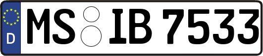 MS-IB7533