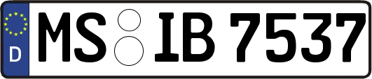 MS-IB7537
