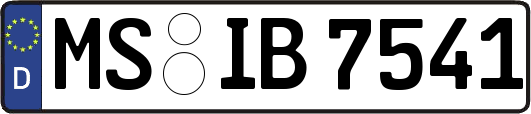 MS-IB7541