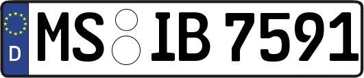 MS-IB7591