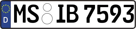 MS-IB7593