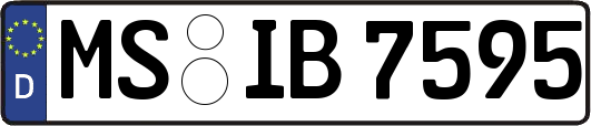 MS-IB7595