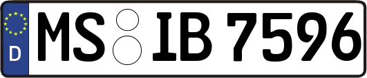 MS-IB7596