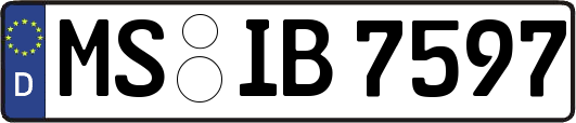 MS-IB7597