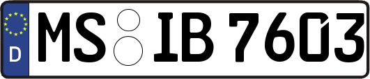 MS-IB7603