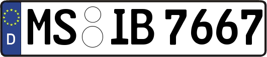 MS-IB7667