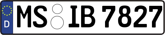 MS-IB7827