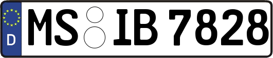 MS-IB7828