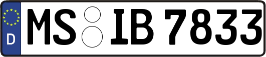 MS-IB7833