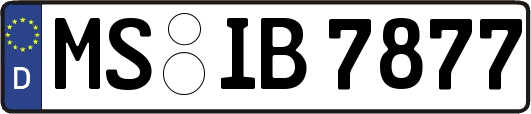 MS-IB7877