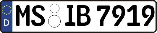 MS-IB7919