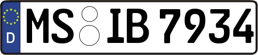 MS-IB7934