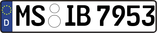 MS-IB7953