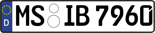 MS-IB7960