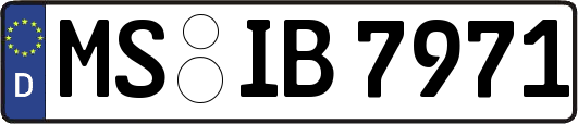 MS-IB7971