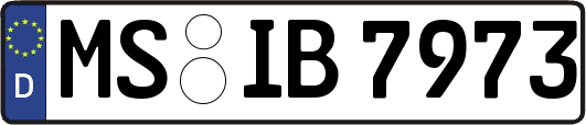 MS-IB7973