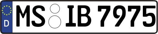 MS-IB7975