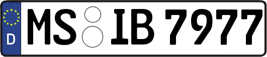 MS-IB7977