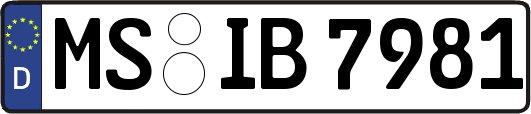 MS-IB7981