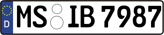 MS-IB7987