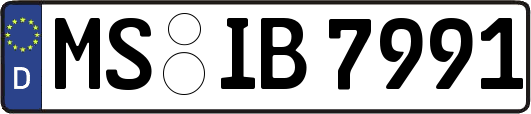 MS-IB7991