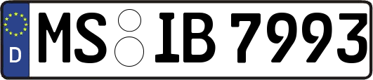 MS-IB7993